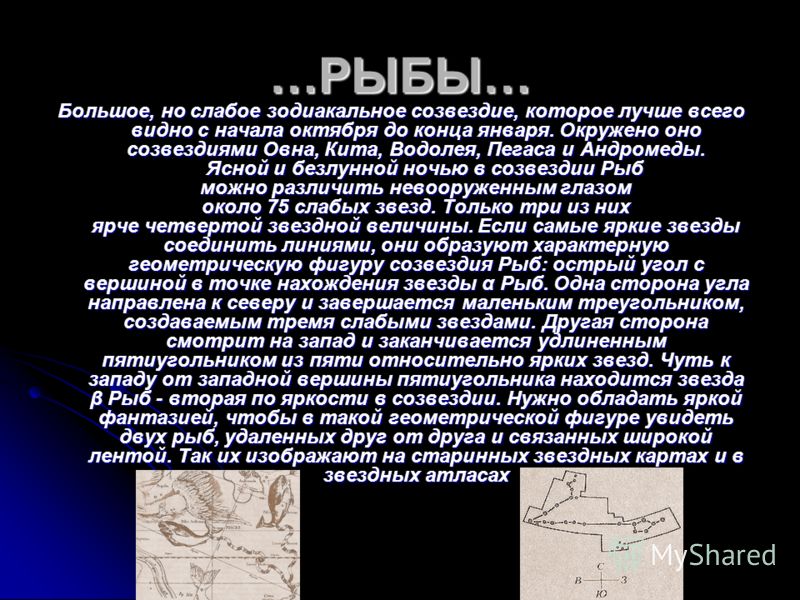 История созвездия. Легенда о созвездии рыбы. Созвездие рыбы описание. Созвездие рыбы интересные факты. Миф о созвездии рыбы.