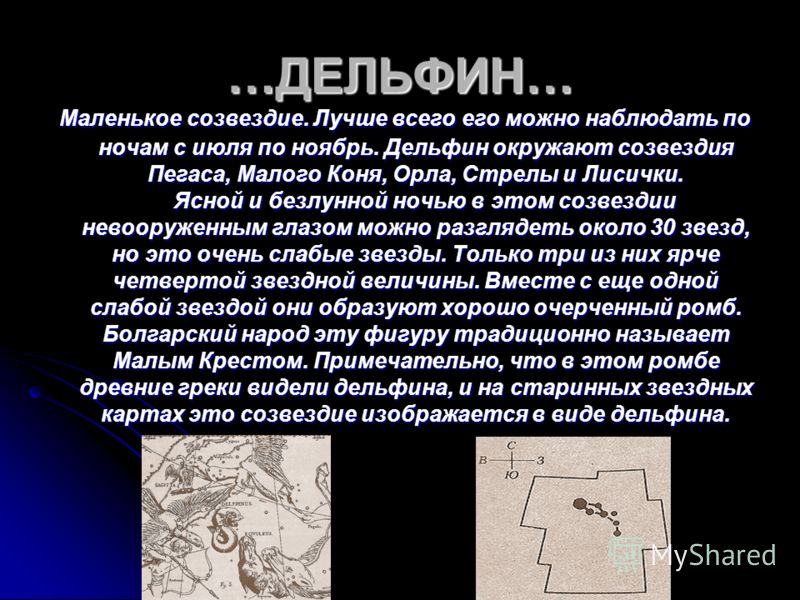 История созвездия. Созвездие Дельфин. Легенда о созвездии. Мифы о созвездиях. Легенда о любом созвездии.